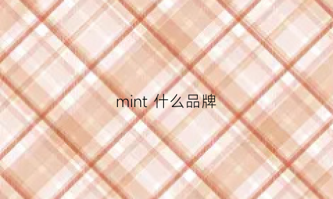 mint什么品牌(minmin是什么牌子)